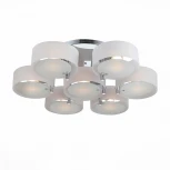 Потолочная люстра ST Luce Foresta SL483.502.07