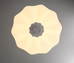 Подвесной светильник с пультом Zortes Soft ZRS.1119.02 (LED, 220V, на тросе, цветы)