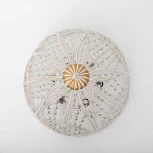 Потолочная люстра Abrasax HSX12104/6 (220V)