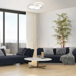 Потолочный светодиодный светильник с таймером Escada Streamline 10286/3LED 53Вт, с ПДУ, металл/акрил, белый (220V)