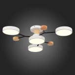 Потолочная люстра на штанге Evoluce Faema SLE6006-502-04