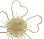 Потолочная люстра Natali Kovaltseva Hugo INNOVATION STYLE 83055