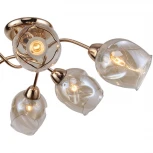 Потолочная люстра F-Promo Bento 2190-6U