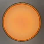 Потолочный светильник RGB круглый светодиодный с пультом Citilux Enzo CL753452G (220V, круглые)