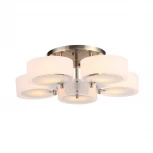 Потолочная люстра ST Luce Foresta SL483.352.05