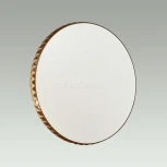 Настенно-потолочный светильник Sonex Dina Amber 2078/DL