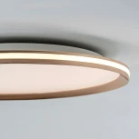 Потолочный светильник светодиодный с пультом с регулировкой цветовой температуры LED4U LED4U L3020-500 GD