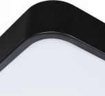 Потолочный светильник Arte Lamp Scena A2662PL-1BK (LED, 220V, пульт управления)