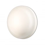 Настенно-потолочный светильник Odeon Light Tavoy 2760/1C