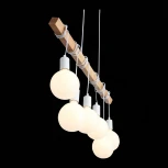 Подвесной светильник Evoluce Bagetti SL1142.503.06