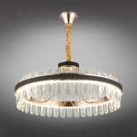 Подвесная люстра Aployt Honori APL.027.03.102 (LED, 220V, на цепи, кольцо)