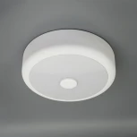 Настенно-потолочный светильник Citilux Фостер-1 CL706110