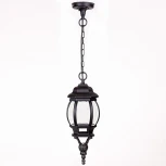 Уличный светильник подвесной Oasis Light 83405S Bl (220V, на цепи, IP44)