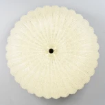 Потолочный светильник светодиодный с пультом с регулировкой цветовой температуры и яркости LED4U LED4U L1115-500 CR