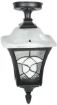 Потолочный светильник уличный Oasis Light VENECIA 2S 91805SA Bl (220V, фонарь, IP44)