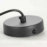 Подвесной светильник Lussole LSP-8520