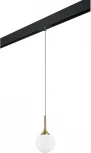 Трековый светильник однофазный 220V Lightstar Globo PRO813013 (шар)
