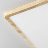 Настенно-потолочный светильник Citilux Бейсик CL738K502V (регулировка яркости, LED, 220V, IP40)