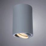 Накладной точечный светильник Arte Lamp Sentry A1560PL-1GY