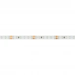Светодиодная лента герметичная RTW-SE-A120-8mm 24V Blue (9.6 W/m, IP65, 2835, 5m) (Arlight, 9.6 Вт/м, IP65) 014676(2)