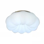 Потолочный светильник с пультом Zortes Soft ZRS.1118.2 (LED, 220V, цветы)