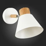 Бра Evoluce Buve SLE103701-01