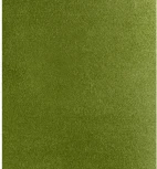 Стул Seven светло-зеленый велюр с чёрными ножками Bradex Home RF 0254