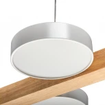 Подвесной светильник светодиодный Ritter Racemo 51608 2