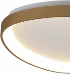 Потолочный светильник Mantra Niseko 8631 (регулировка яркости, LED, 220V, пульт управления)