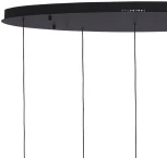 Подвесной светильник Lumien Hall Danay LH8027/5P-BK-SGD