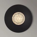 Точечный встраиваемый светильник Arte Lamp Ducre Mini A7094PL-1BK (220V, круглые)