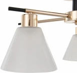 Потолочная люстра на штанге Arte Milano Napoli 322119/5 FG+BK (220V)