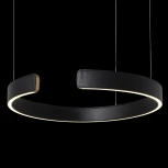 Подвесной светильник Loft IT Ring 10025/400 Black (LED, 220V, на тросе, кольцо)