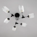 Потолочная люстра на штанге Эрик CL136165 Citilux