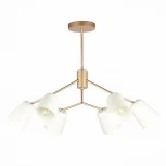 Потолочная люстра на штанге Evoluce Mario SLE155902-06 (220V)