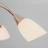 Потолочная люстра Eurosvet Ellene 30149/8 золото (220V)