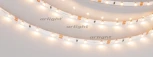 Светодиодная лента Arlight LUX 028614