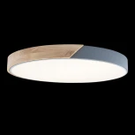 Потолочный светильник круглый Loft IT Axel 10004/36 Grey (LED, 220V, круглые)