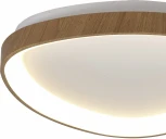 Потолочный светильник Niseko 8055 Mantra