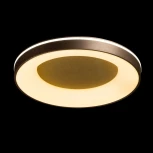 Потолочный светильник круглый De City Норден 660015601 (регулировка яркости, LED, 220V, пульт управления, круглые)