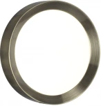 Настенно-потолочный светильник Odeon Light Lunor 4948/30CL