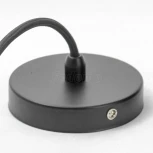 Подвесной светильник Lussole Loft Hauppauge GRLSP-9862 (220V, на проводе, природа, IP21)