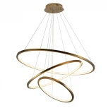 Подвесной светильник Loft IT Ring 10015/3 (LED, 220V, на тросе, кольцо)