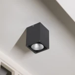 Потолочный светильник уличный светодиодный IP65 Natural Concepts Dwell NC-133474-DG (220V)