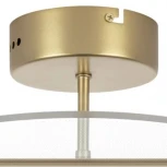 Потолочная люстра на штанге Lightstar Acrile 738033 (LED, 220V, круглые)