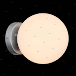 Настенно-потолочный светильник ST Luce Acini SL717.501.01