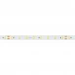 Светодиодная лента ULTRA-C64-10mm 24V Day4000 (14.4 W/m, IP20, 5630, 5m) (Arlight, высок.эфф.160 лм/Вт) 036359