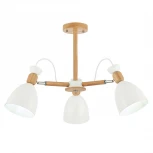 Потолочная люстра Evoluce Balcamo SLE103802-03 (220V)