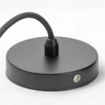 Подвесной светильник Lussole Loft Hauppauge GRLSP-9862 (220V, на проводе, природа, IP21)