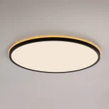 Настенно-потолочный светильник круглый светодиодный с подсветкой Citilux Norma CL748501 (220V, круглые, IP40)